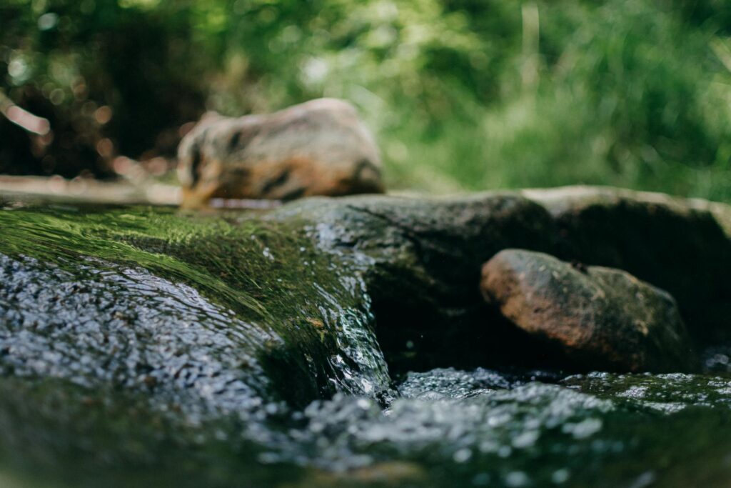 Mossy rocks by a stream