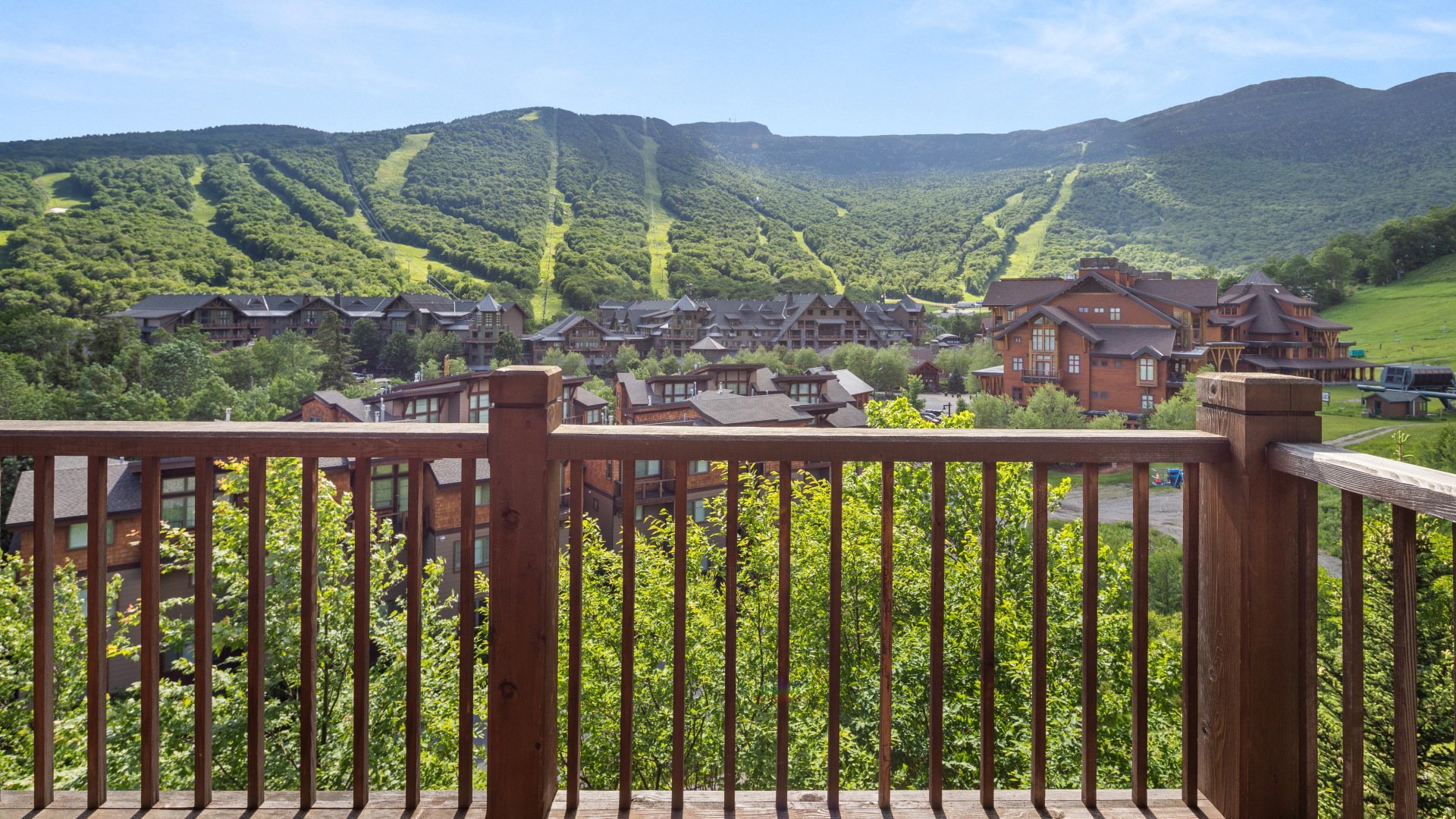View of a hillside in Stowe, VT
