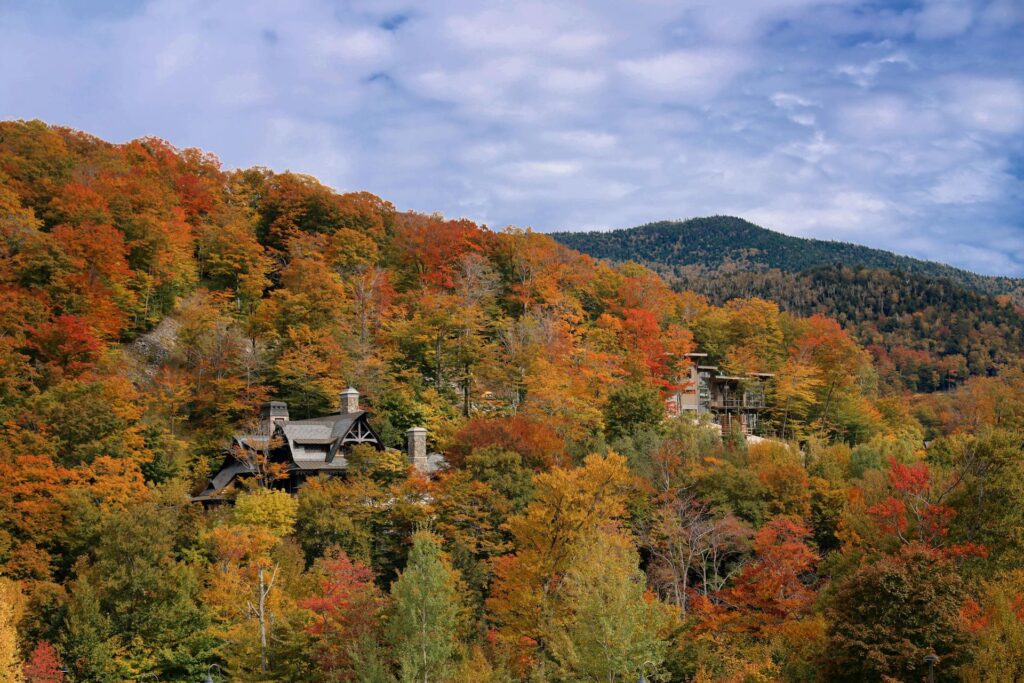 Trees with fall colors in Stowe, VT
