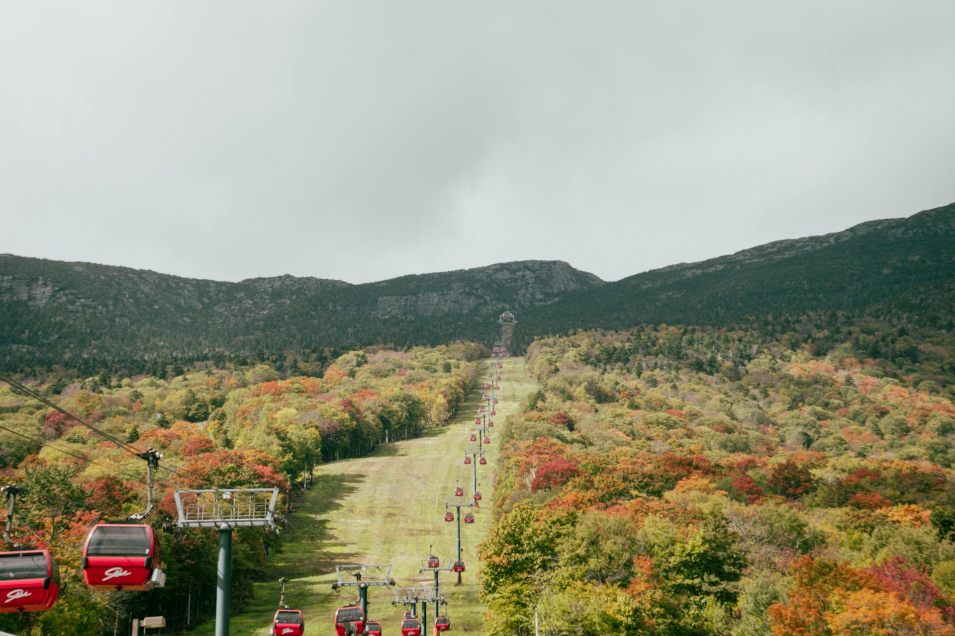 A view of trees in Stowe, VT